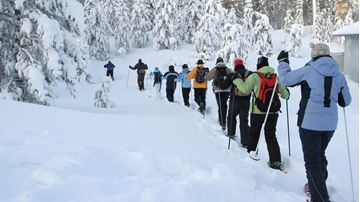 A line of people snowshoeing with snow-covered trees in the background